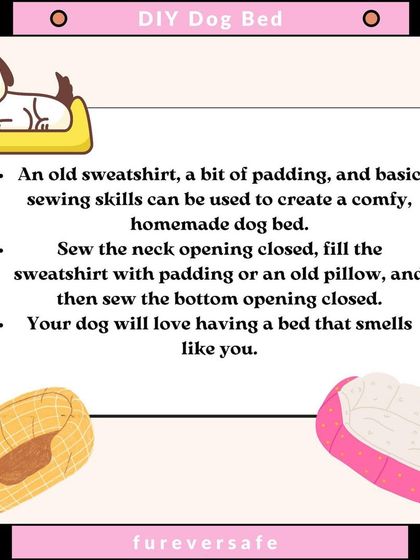 Furever Safe - Pet Boarding & Day Care Pet Parent Resources photo 25