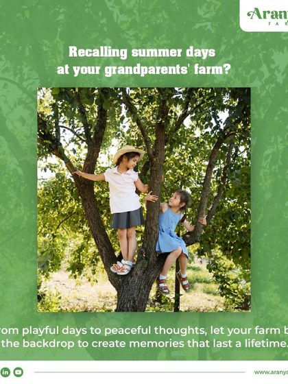 Recalling summer days at your grandparents' farm? I help you recreate those cherished memories. Let your farm be the backdrop for playful days and peaceful thoughts.