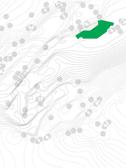 A topographical site plan for a project named "Meander in the Pines." The green footprint shows how the building's form is designed to weave between existing trees and follow the natural curves of the land.