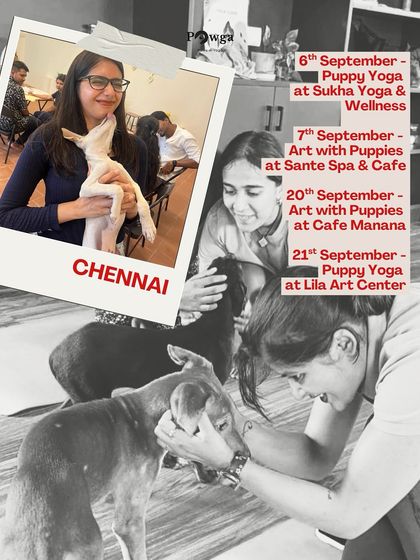 Our Chennai schedule for September, with dates for both puppy yoga and art with puppies.