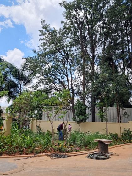 Our team at work on the planting phase at Legacy Cirocco. This is the final stage where the green elements of our design come to life.