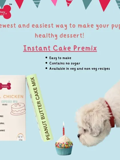 My Instant Cake Premix is the easiest way to bake a healthy dessert for your dog. This graphic highlights the key features: it's easy to make, contains no sugar, and is available in both veg and non-veg recipes.