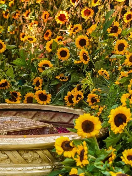 A detail of the Haldi ceremony seating, with a traditional vessel placed amidst a sea of fresh sunflowers. This setup is both beautiful and functional for the rituals.
