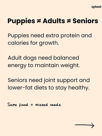 Puppies, adults, and senior dogs have very different needs. Puppies need more protein for growth, while seniors may need joint support and lower-fat diets. Feeding the same food through all life stages means you're missing their needs.