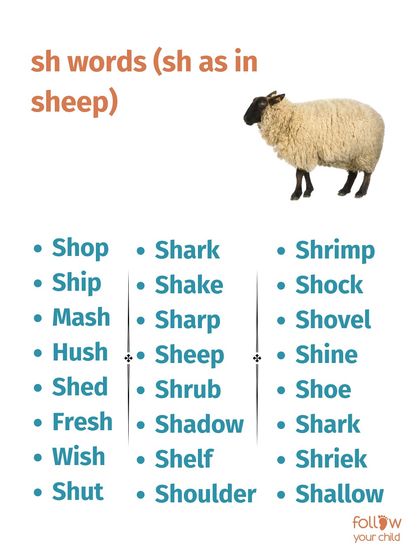 Ankita B Chandak - Early Childhood Parenting Coach My Go-To Resources & Recommendations photo 26