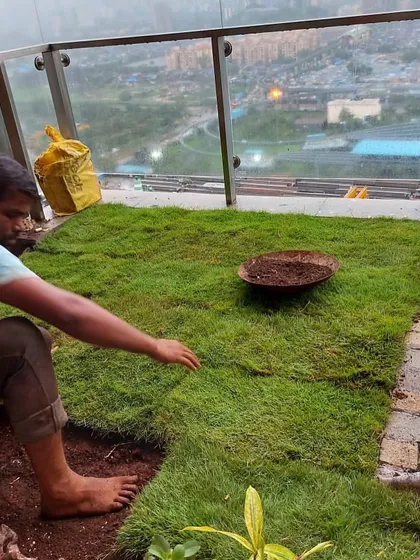 My team member is carefully laying down sections of natural lawn on a terrace, piecing them together to create a seamless green carpet.