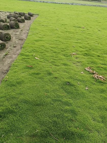 Another view of a harvested field, with lush green grass rolls ready to be transported to a client's location.