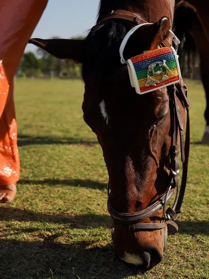 A playful and unique product shot, with a small, colorful handbag placed on the horse's bridle. We encourage creative concepts and are happy to assist in achieving the perfect shot.