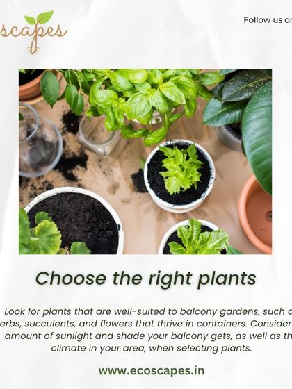 Ecoscapes Landscaping - Urban Gardening & Green Walls Urban Gardening Guides photo 4