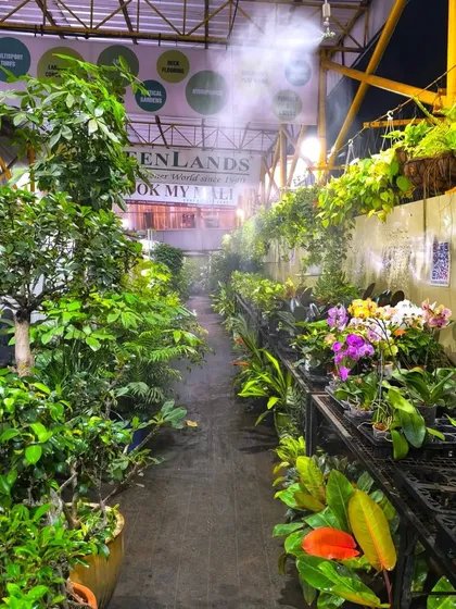 Welcome to our green oasis in the heart of Mumbai. We've created a lush, cool, and misty environment inside the mall, so you can enjoy a serene plant shopping experience away from the city's heat.