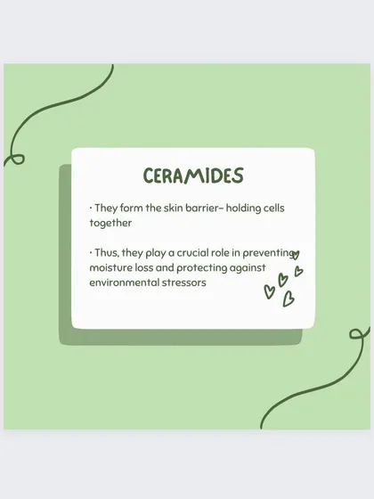 A closer look at ceramides. They are a crucial component for maintaining a healthy skin barrier, which is your first line of defense against dryness and irritation.