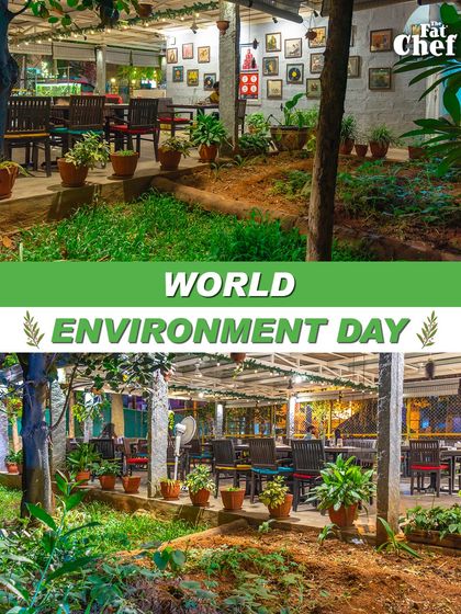 On World Environment Day, we celebrated our commitment to a green and refreshing dining experience. This image collage shows our lush, plant-filled outdoor seating area.