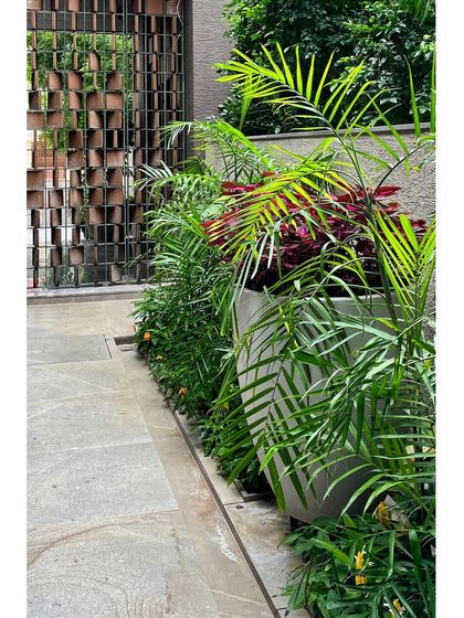 A detail of the entry planting, showing lush tropical foliage in a large planter next to the sculpted entry screen. The design focuses on creating a rich, green experience from the moment of arrival.