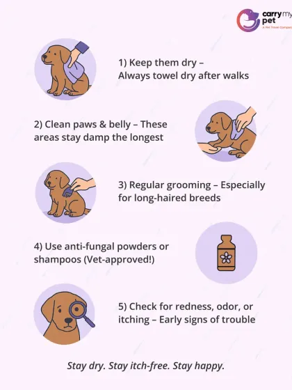 CarryMyPet - Pet Travel & Parenting Consultation Pet Parenting & Wellness photo 7