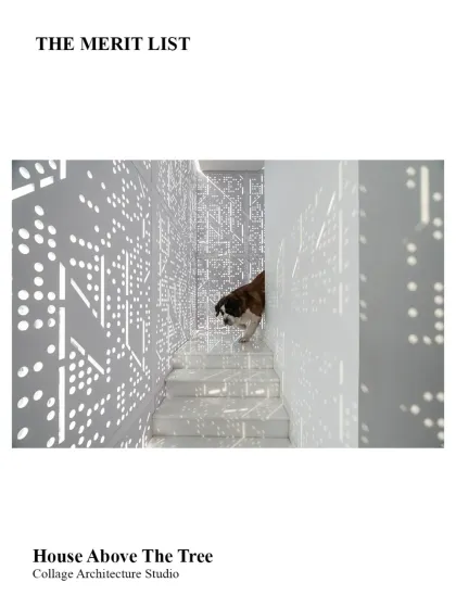 The dramatic light patterns in 'House Above The Tree', as featured in its nomination for The Merit List.