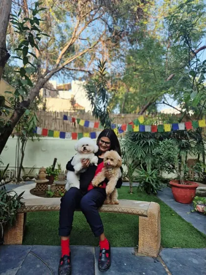 A beautiful day in the garden with Archie and Columbus. This picture captures the serene and happy environment we've created for our boarding and grooming clients.