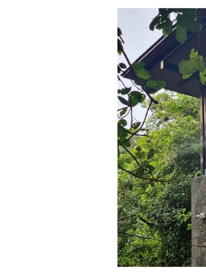 The 'House in a Grove' peeking through the trees. The design prioritizes the preservation of the existing grove, making the house a secondary element.