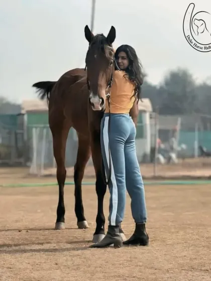A rider and her horse stand together, a picture of elegance and mutual respect.