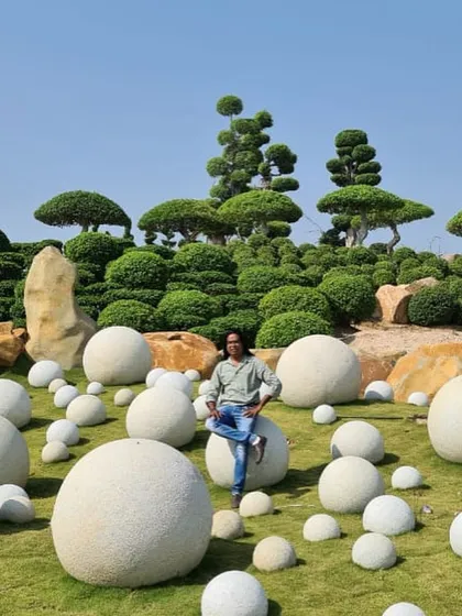 For this large-scale project in Hyderabad, we created a surreal, zen-like landscape. The design features meticulously sculpted topiary trees set against a field of large, smooth stone spheres for a truly unique and memorable garden.