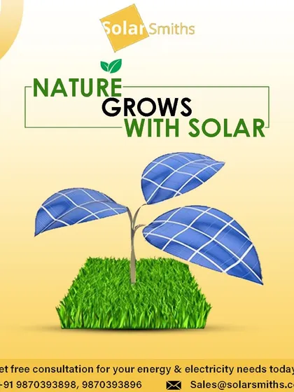 Nature grows with solar. By choosing clean energy, you are helping our natural world to thrive.