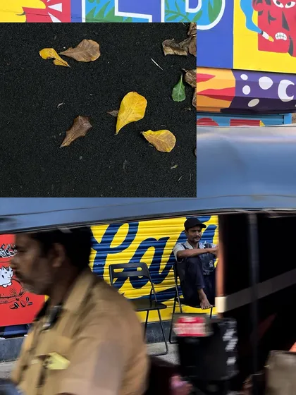 A collage of yellow and blue, with fallen yellow leaves on a dark surface and a man sitting in front of a yellow shop shutter.