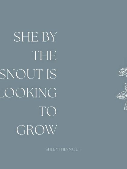 As my service grows, I sometimes look for new teammates. This shows my commitment to expanding my ability to help more families.