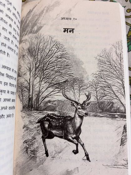 The Path of Yoga: Philosophy & Wisdom photo 4