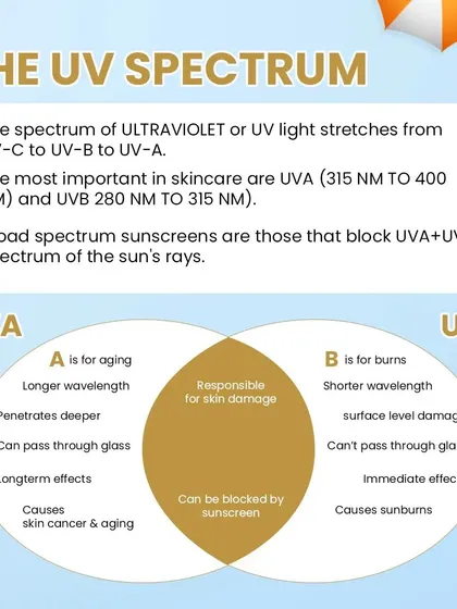 To make the right choices for your skin, you need to understand the science. This chart explains the difference between UVA and UVB rays. UVA rays are responsible for aging, while UVB rays cause sunburn. A good sunscreen must protect you from both.