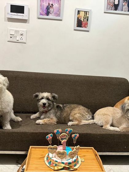 A full couch and a full heart. Four adorable siblings, Alabaster, Charlotte, Ethan, and Rain, celebrating their birthday together with a shared cake.