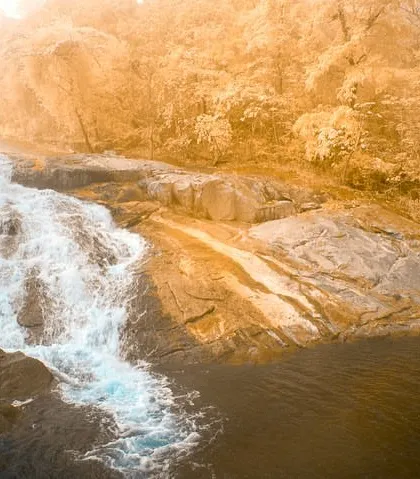 A waterfall captured with my infrared camera. The water retains its white appearance while the surrounding forest turns a golden-orange, resulting in a unique and artistic interpretation of the scene.