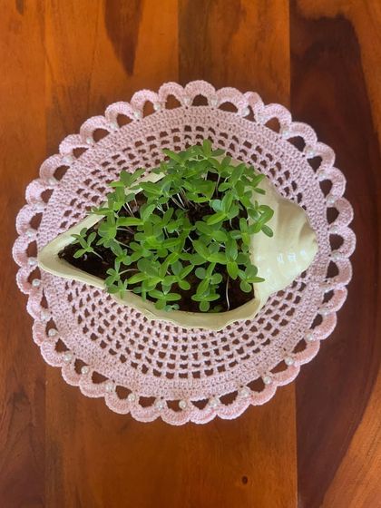 Another view of the pearl-laced pink doily, used as a base for a small planter. It adds a touch of glamour to everyday items.