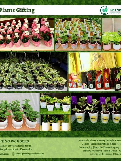 Greening Wonders - Corporate & Personal Plant Gifting Corporate & Bulk Gifting photo 11