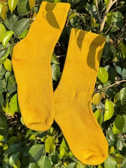 A pair of marigold-dyed socks hanging in the sun. The color is a warm, golden yellow that is sure to brighten up any day.