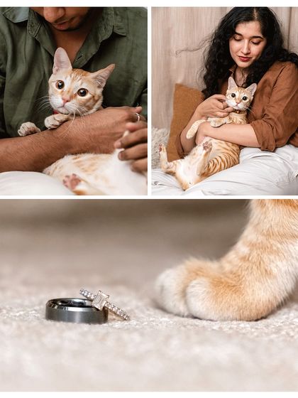 A collage from Toffee's engagement shoot, showing different angles of the family's love, including a creative close-up of the engagement rings next to his paw.