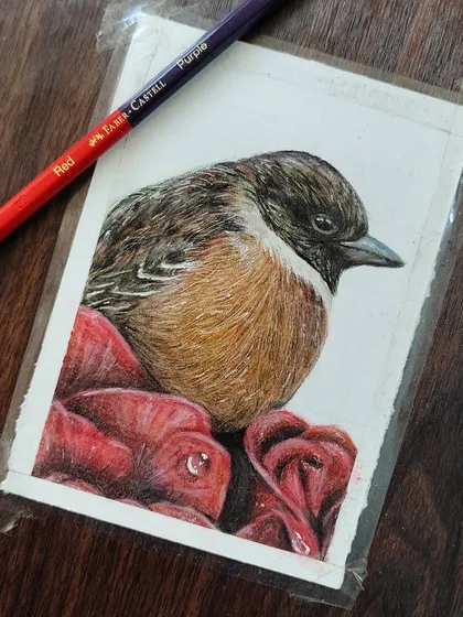 Another angle of the bird WIP, with the pencils I used for the roses.