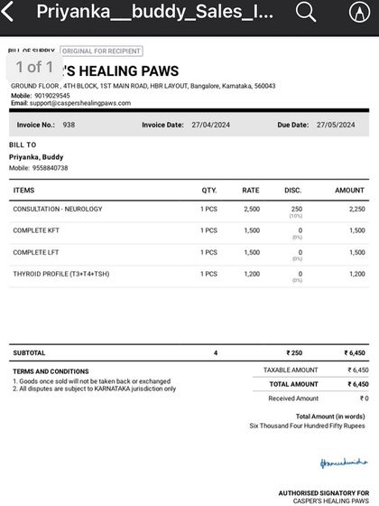 PL Paws - Animal Rescue & Rehabilitation How Your Donations Help: Our Medical Cases photo 33