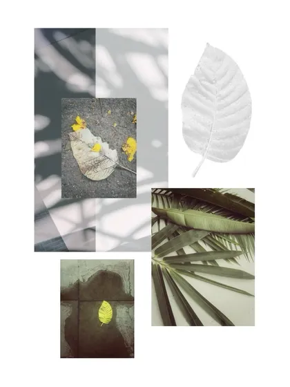 Another mini-moodboard, this one exploring the beauty of leaves and shadows. Finding the aesthetic story between seemingly random objects is a great creative exercise and a source of inspiration for my shoots.