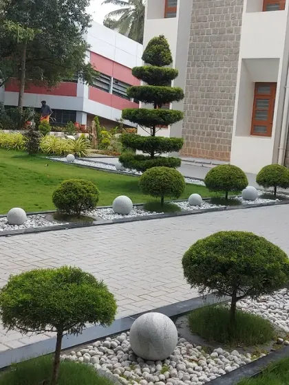 A public park or campus area with precisely shaped topiary shrubs and decorative stone balls. This style of landscaping requires skilled maintenance, which I also provide.