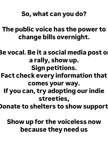 What can you do? Be vocal, sign petitions, fact check information, adopt an indie, and donate to shelters. Show up for the voiceless.