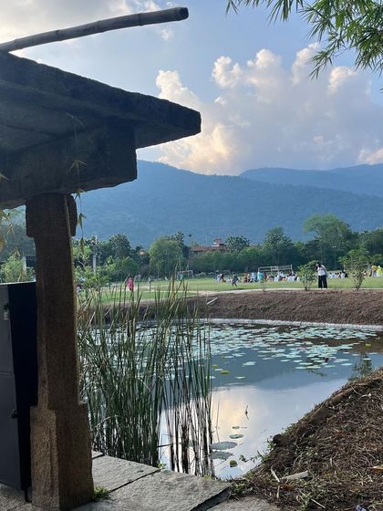 The serene, lily-pad-covered ponds and majestic mountains at Isha create an atmosphere of profound tranquility. I bring this sense of peace and connection to nature into all my offerings.