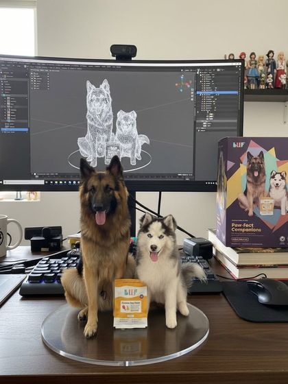 The nano banana trend continues with this handsome German Shepherd and Husky duo. They're ready for their close-up.