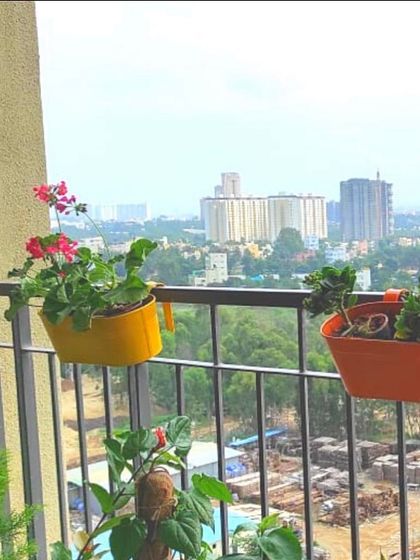 Treemendous - Interior & Exterior Plantscaping Creative Planter & Decor Ideas photo 3