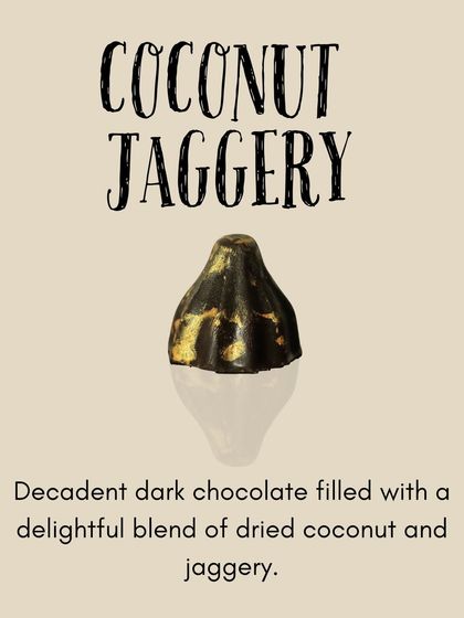 Festival Collection photo 4