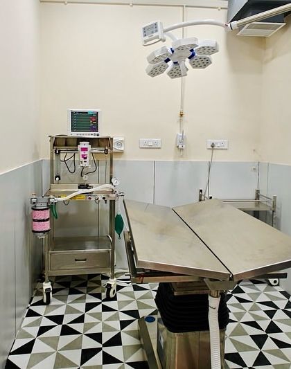 Zigly - Veterinary Services Diagnostics: The Foundation of Good Medicine photo 3