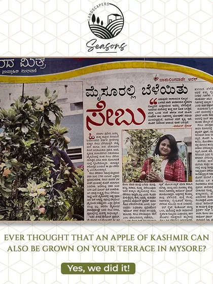 I am always exploring what's possible. I'm incredibly proud to have successfully grown a Kashmir Apple on a terrace here in Mysore, an achievement featured in the local newspaper. It's a symbol of my belief that with the right knowledge and dedicated care, nature can flourish anywhere.