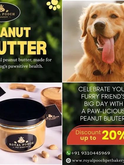 My natural peanut butter is made specifically for your dog's health. It's packed with protein and healthy fats, without any added sugar or xylitol, making it a perfect paw-licious treat for celebrating their big day or just for a daily reward.