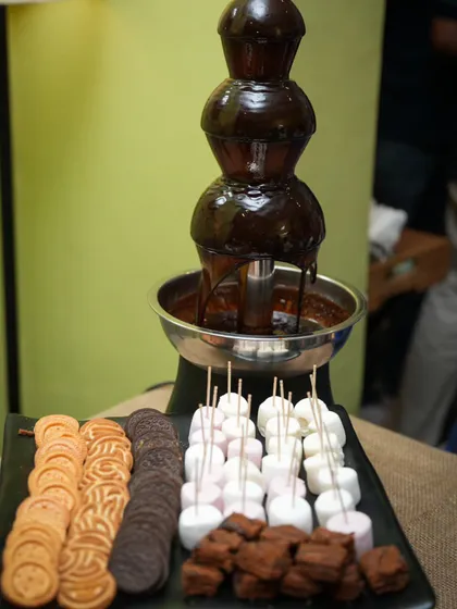 A close-up of our chocolate fountain station, complete with marshmallows, cookies, and brownies ready for dipping.