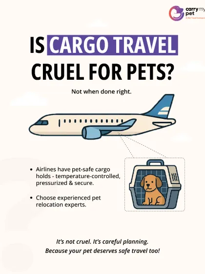 Many pet parents worry if cargo travel is safe. When done right, it is the safest method for international journeys. I only use airlines with pet-safe, temperature-controlled, and pressurized cargo holds, ensuring your pet's comfort is never compromised.