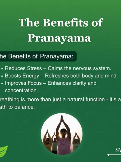 The benefits of a regular Pranayama practice are profound. It reduces stress by calming the nervous system, boosts energy by refreshing the body and mind, and improves focus and concentration.