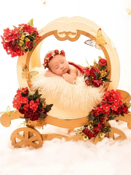 For the little princess, a fairytale setup. This newborn sleeps peacefully in a whimsical carriage prop, adorned with red flowers and golden butterflies, creating a magical and dreamy portrait.